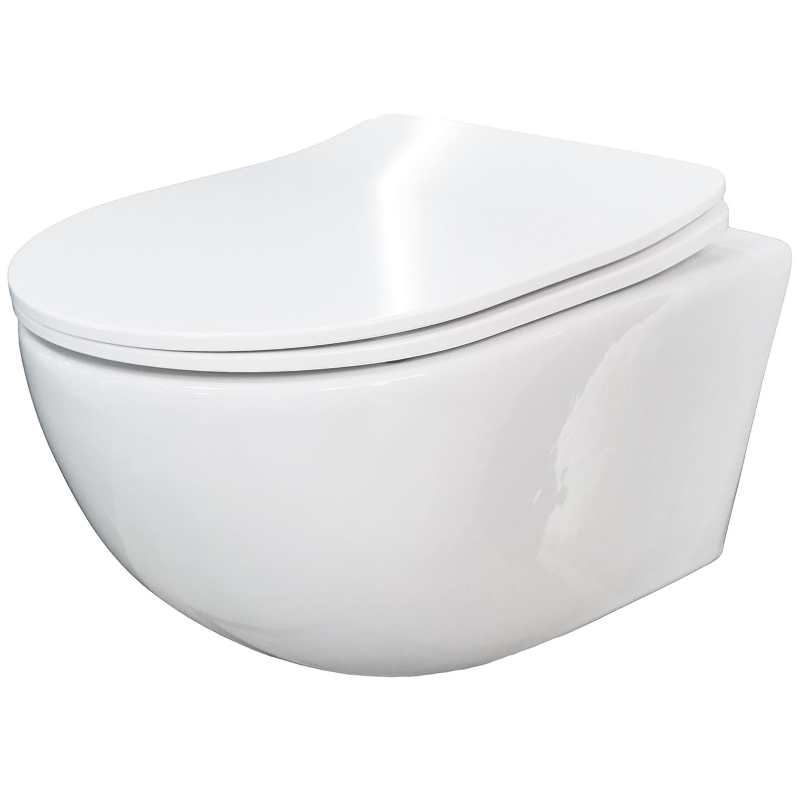 LAVITA ERIE závěsná WC mísa bez okraje s duroplastovým sedátkem bílá LAVITA ERIE závěsná WC mísa bez okraje s duroplastovým sedátkem bílá