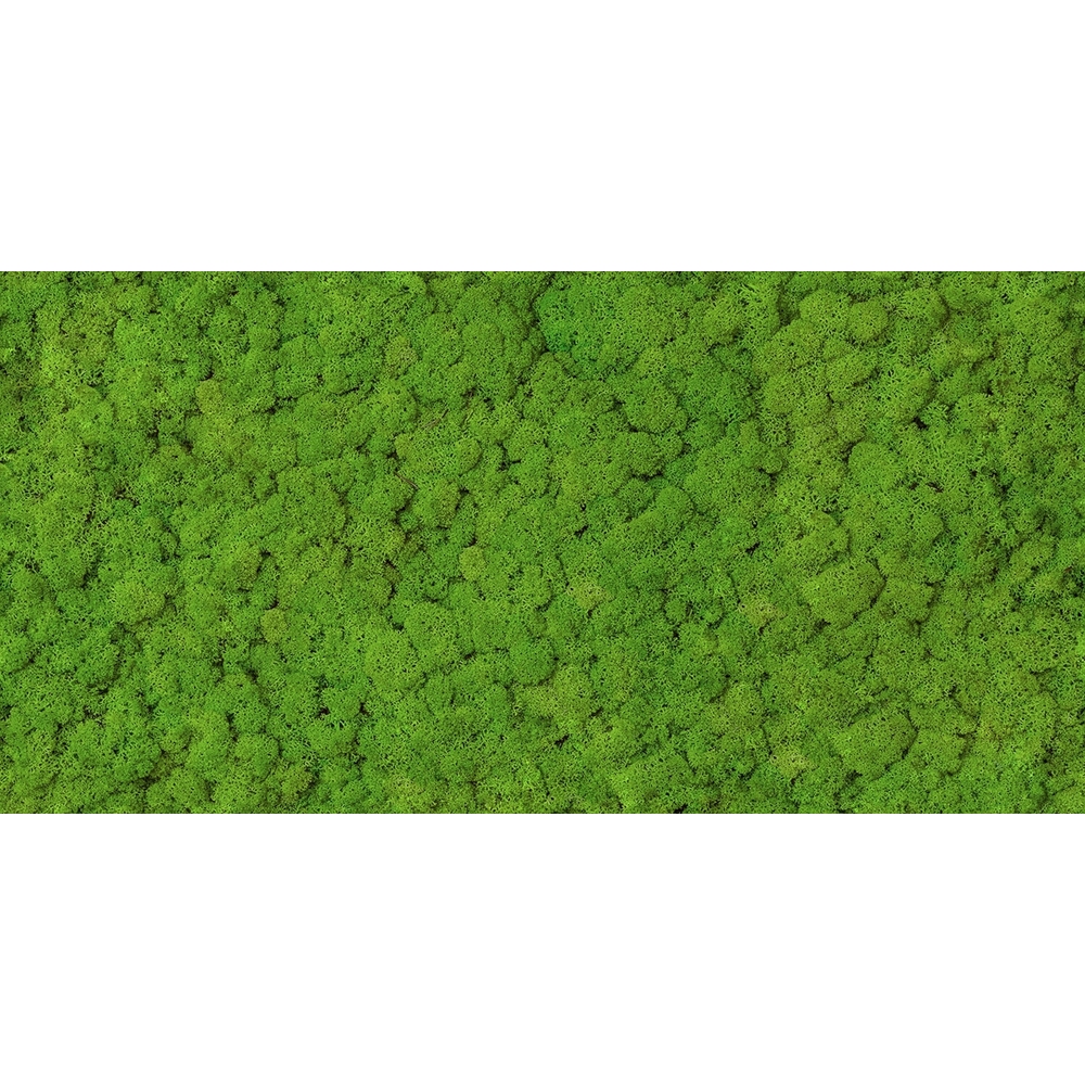 OBKLAD ALFA-CER INSERTO NEXT MOSS GLASS GREEN 29,8X59,8