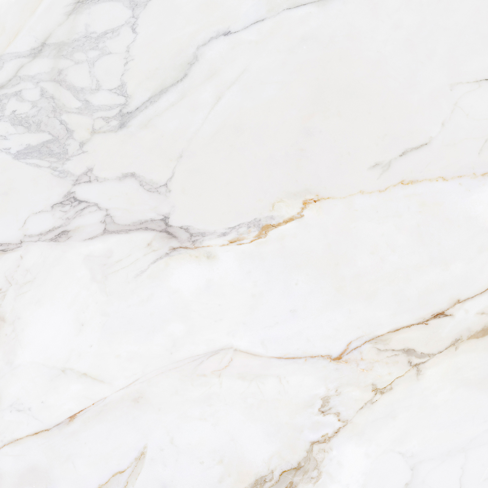 DLAŽBA ECOCERAMIC MARSHALL CALACATTA GOLD POLER 90X90* DLAŽBA ECOCERAMIC MARSHALL CALACATTA GOLD POLER 90X90*