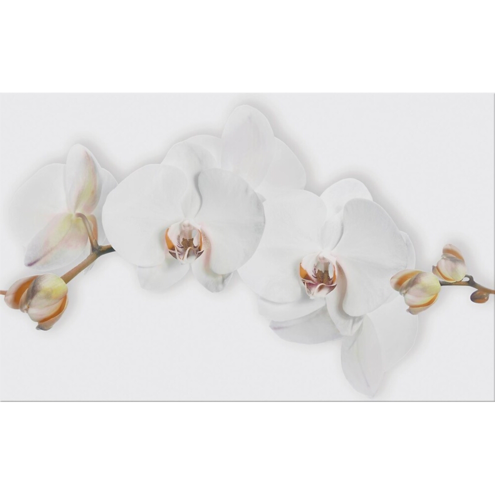 OBKLAD MARISOL WHITE INSERTO FLOWER 25X40